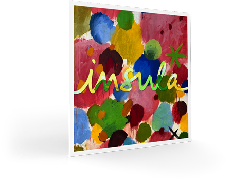 Insula Violin String Set