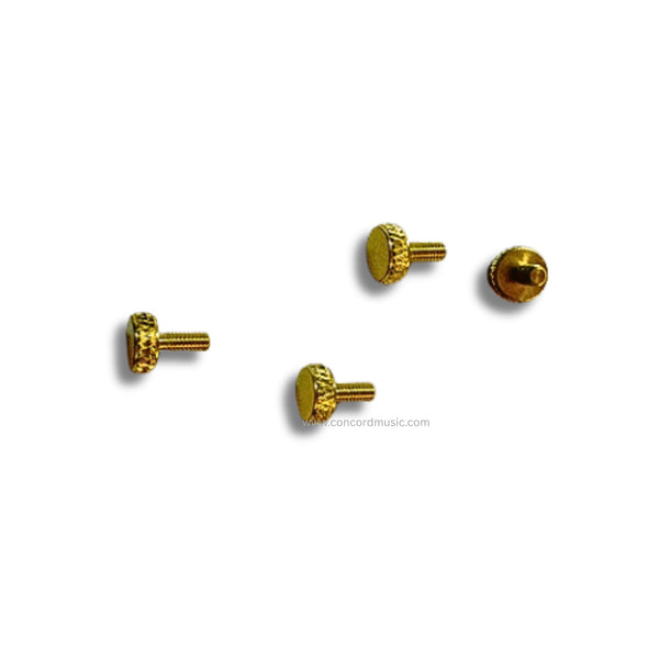 Replacement Screws for GEWA Pure Violin Case Music Pocket (Set of 4)