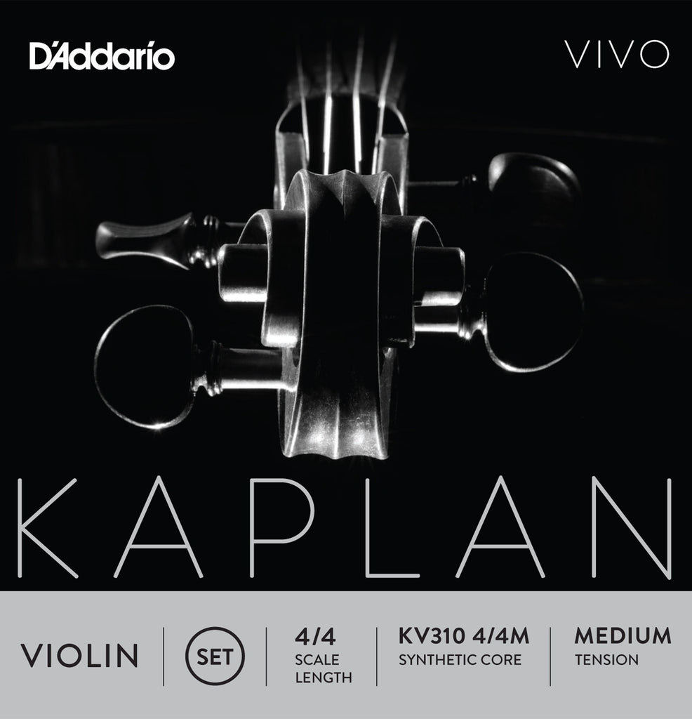 Kaplan Vivo Violin Set KV310