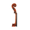 Revelle violin 500QX neck scroll view